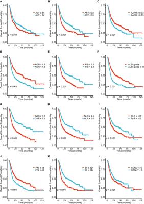 Development and validation of a new prognostic immune–inflammatory–nutritional score for predicting outcomes after curative resection for intrahepatic cholangiocarcinoma: A multicenter study